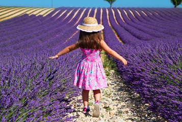 Girl in pink dress walking in lavender field - obrazy, fototapety, plakaty
