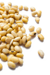 soy beans on white background.