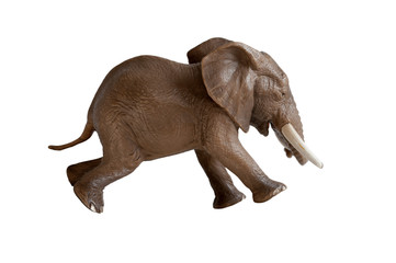 elephant running isolated