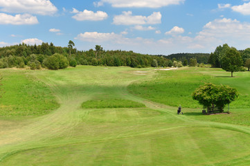 Green golf course and blue cloudy sky. Field with trees landscap