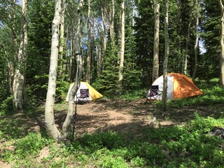 tent camping in Colorado