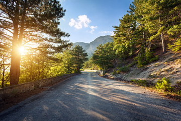 Asphalt road in summer forest at sunset. Crimean mountains