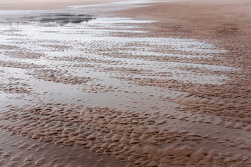 Tidal Tracks on a Pacific Beach