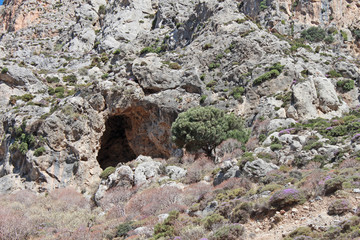 Crète
