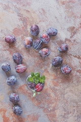 Freshly picked organic plums  in jar and on rustic table
