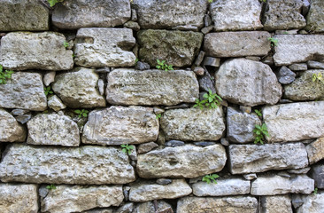 photo of an old brick wall close up shot