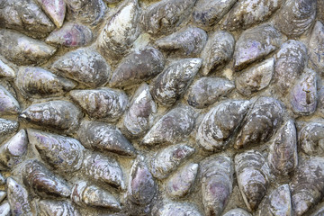 Background of shells on the wall of the old house