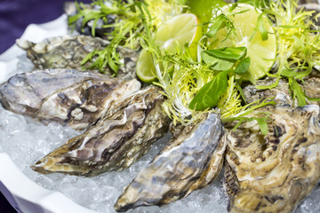 oysters on ice in a dish on a table in a restaurant