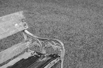 wooden bench in park and green grass background