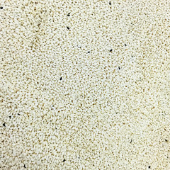 a lot of white sesame for background uses