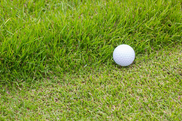 Golf ball and green grass
