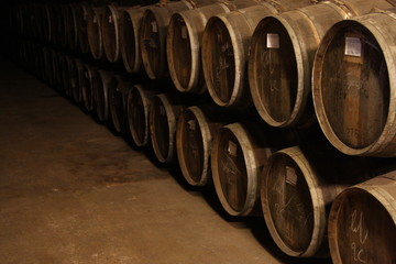 Wine barrels in Vineyard cellar