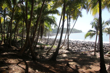 Guyane - Les Îles du Salut - Août 2015