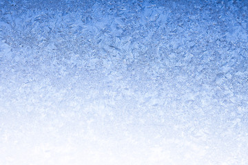 Fototapeta na wymiar Icy Frost on winter morning