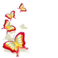 Obraz premium butterflies design