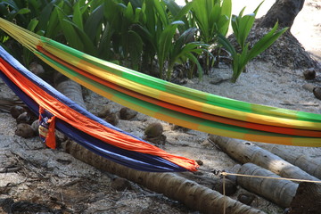 Guyane - Les Îles du Salut - Août 2015