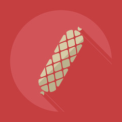Flat modern design with shadow icons sausages