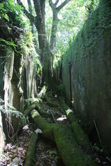 Guyane - Îles du Salut - Août 2015