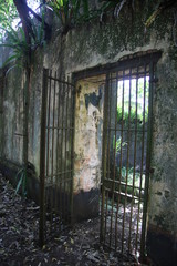 Guyane - Îles du Salut - Août 2015