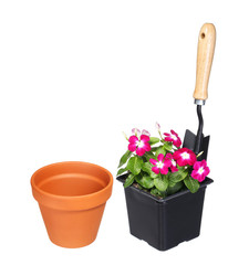 Garden tools and flowers with pot isolated on white background