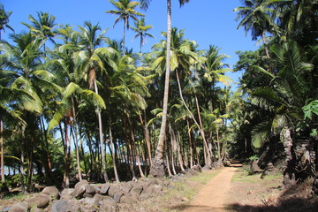 Guyane - Îles du Salut - Août 2015