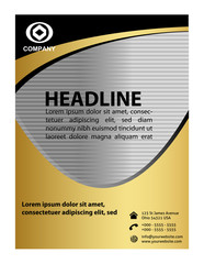 Professional business flyer template 
