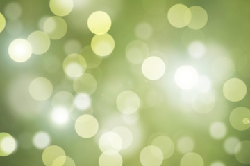 Obraz premium Natural forest bokeh