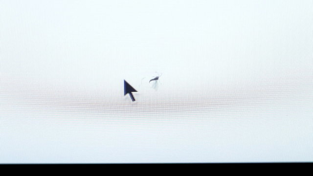 A moscito trapped in the computer display during some mishap