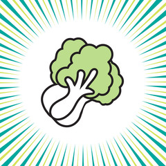Vegetable cabbage and lettuce ,vector icon