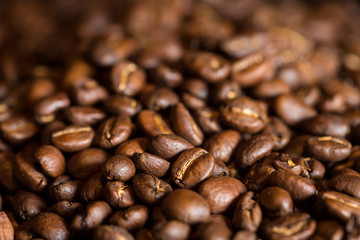 Roasted Coffee Beans