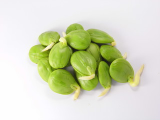 Bitter bean, Twisted cluster bean, Stink bean