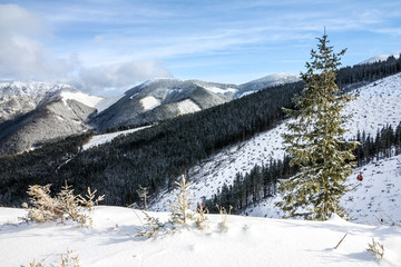Fototapeta na wymiar winter mountain forest snow landscape