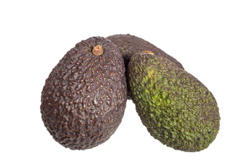 avocado fruit