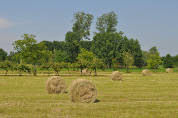 Hay bale