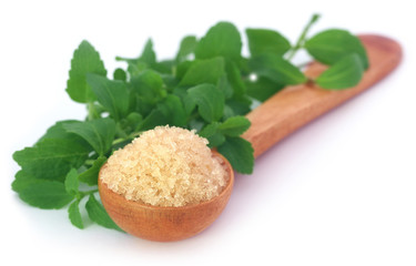 Coarse crystals of brown sugar with stevia leaves