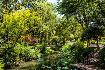 Fototapeta na wymiar Garten in Suzhou