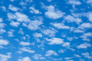 Fototapeta na wymiar blue sky with fleecy clouds