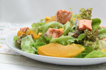 salmon salad