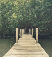 Obraz premium Long wood bridge in mangrove forest, Chanthaburi,Thailand
