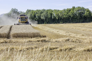 Obraz premium Moisson 03