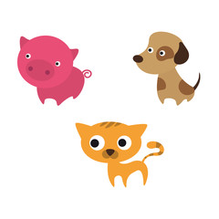 Funny animals including dog, pig and cat