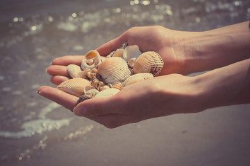 Vintage photo, Seashells in hand of woman at the beach