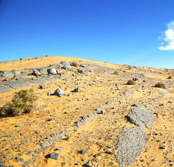  old fossil in  the desert of morocco sahara and rock  stone sky