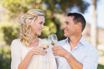 Smiling couple toasting and looking at each other