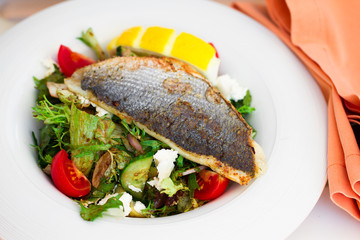 Warm salad with fish dorado