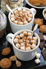 cocoa with marshmallows and cookies, top view
