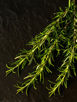 Bunch of rosemary on stone background