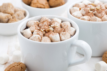 two cups of cocoa with marshmallow and cookies, closeup