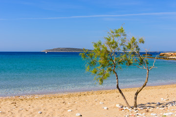 Beautiful beach, Paros island, Cyclades, Greece.