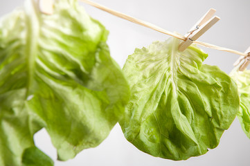 Salat an der leihne